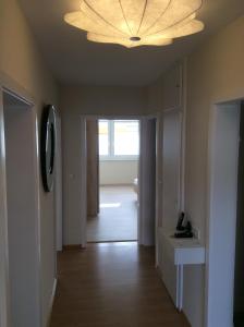 Appartement am Universitätscampus