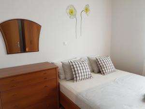 Apartment Roko
