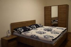 Tiva Downtown Apartments