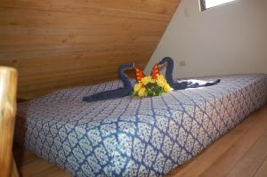 Casa bungalow Ital-Tico