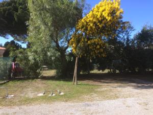 Clos Fructidor photo 6