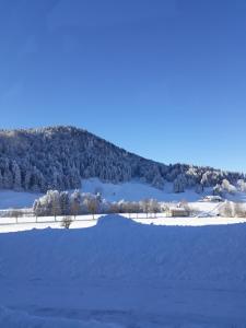 Haus Ritter