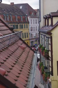 Appartements Margot - hyper centre Colmar : photos des chambres