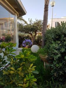 Athena Bed & Breakfast