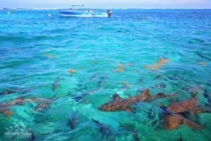 San Pedro, Belize.