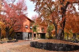 Cabañas Las Cabras - 洛斯安赫莱斯