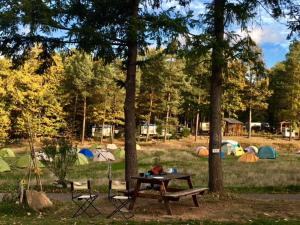 Campings Camping Osenbach : photos des chambres