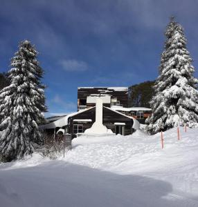 Nelse Lodge