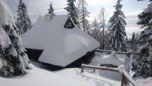 Velika Planina Koča Kekec