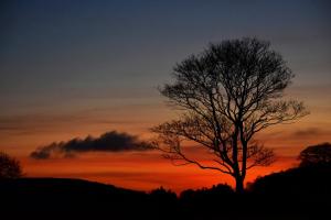 Bainbridge, Leyburn, North Yorkshire DL8 3EF, England.