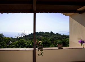 Mandarin & Mango Boutique Hotel