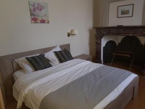 Hotels LOGIS - Chateau de la Motte - Hotel & Restaurant : photos des chambres