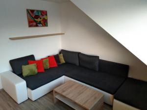 HOLLEY Apartment 1623