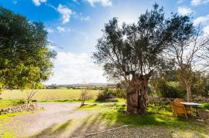 Pensión Sa Casa Rotja Sineu España