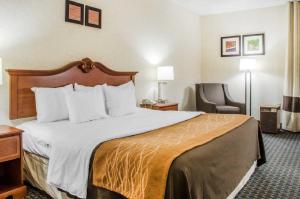 Queen Room - Disability Access/Non-Smoking room in Comfort Inn West Hazleton