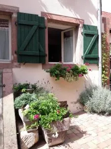 charmant petit appartement en Alsace - Zoebersdoff charmant petit appartement en Alsace - Zoebersdoff