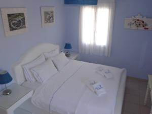 Blue Harmony Apartments Naxos Greece