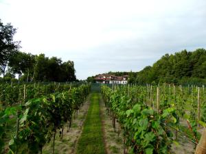 Leśny Dworek Winnica Darłowo