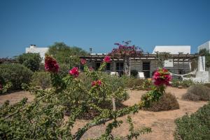 Villa FantaSea - Designer Seaview Villa Paros Greece