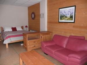 Appart'hotels Residence L'Etoile du Sancy : photos des chambres