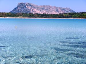 Appartamento in residence fronte mare img20