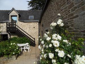 B&B / Chambres d'hotes Les Pieds dans l'Herbe : photos des chambres