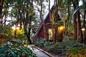 The Mouses House Rainforest Retreat