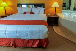 King Suite with Spa Bath - Non-Smoking room in Hotel M Mount Pocono