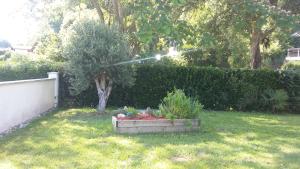 La Palibe