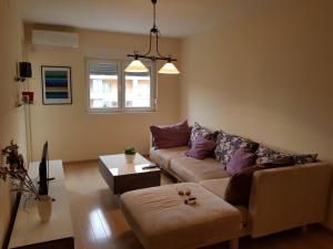 Apartments City Life