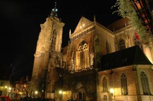 Appartements Margot - hyper centre Colmar : photos des chambres