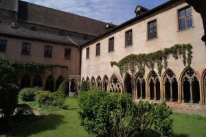 Appartements Margot - hyper centre Colmar : photos des chambres