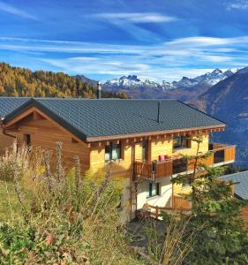 Apartment Chalet la cordée Bettmeralp Switzerland