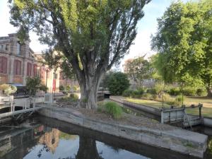 Appartements Margot - hyper centre Colmar : photos des chambres