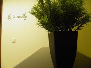 Atlantic Nest Coimbra