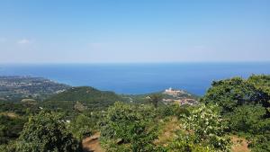 Fanigara beach apartments Olympos Greece