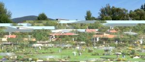 Haus Bergblick Bay. Wald