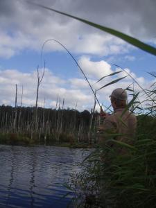 Hornborgasjöns Stugby