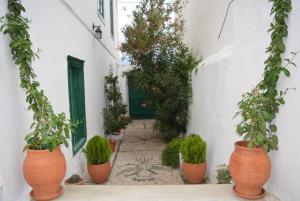 Irini's house Spetses Greece