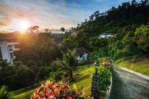 Rest Pause Rainforest Retreat