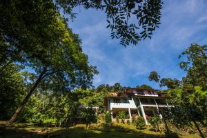 Rest Pause Rainforest Retreat
