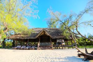 Medjumbe Island, Quirimbas Archipelago, Cabo Delgado Province, Medjumbe, Mozambique.