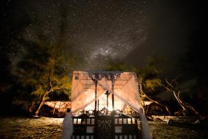 Medjumbe Island, Quirimbas Archipelago, Cabo Delgado Province, Medjumbe, Mozambique.