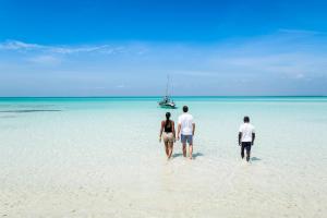 Medjumbe Island, Quirimbas Archipelago, Cabo Delgado Province, Medjumbe, Mozambique.