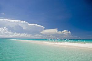 Medjumbe Island, Quirimbas Archipelago, Cabo Delgado Province, Medjumbe, Mozambique.