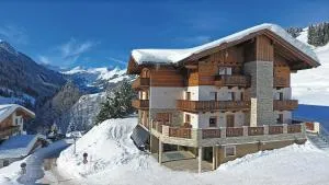 Appartement Berghof - Saalbach Hinterglemm