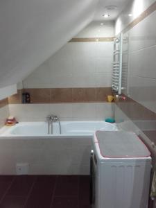 Apartament Ługiele