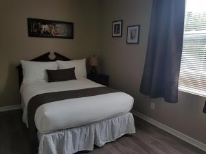 Cozy 1-Bedroom Suite #17 by Amazing Property Rentals