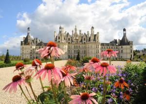 B&B / Chambres d'hotes Les Abris Du Chateau : photos des chambres