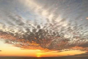 Court Cottages - Summerland Key